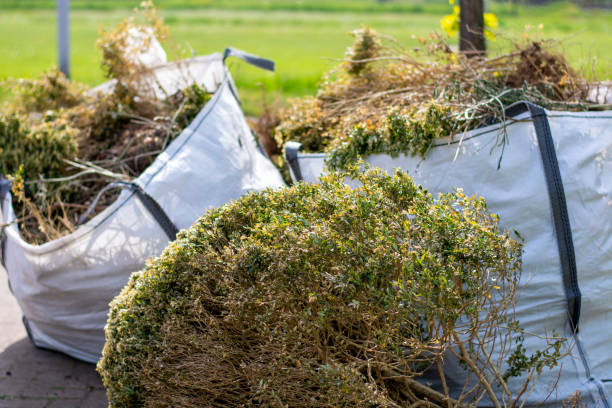 Best Yard Waste Removal  in Lake Holiday, IL